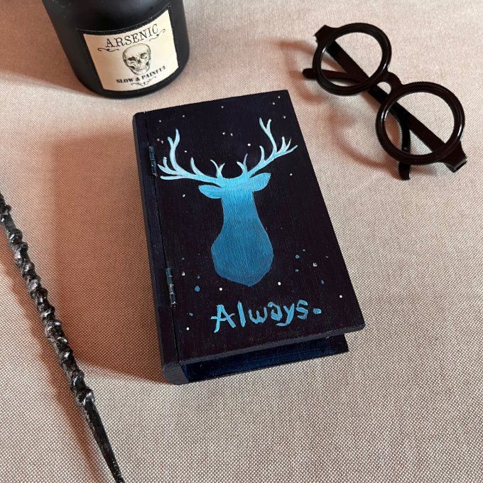 Boite Livre Harry Potter Always